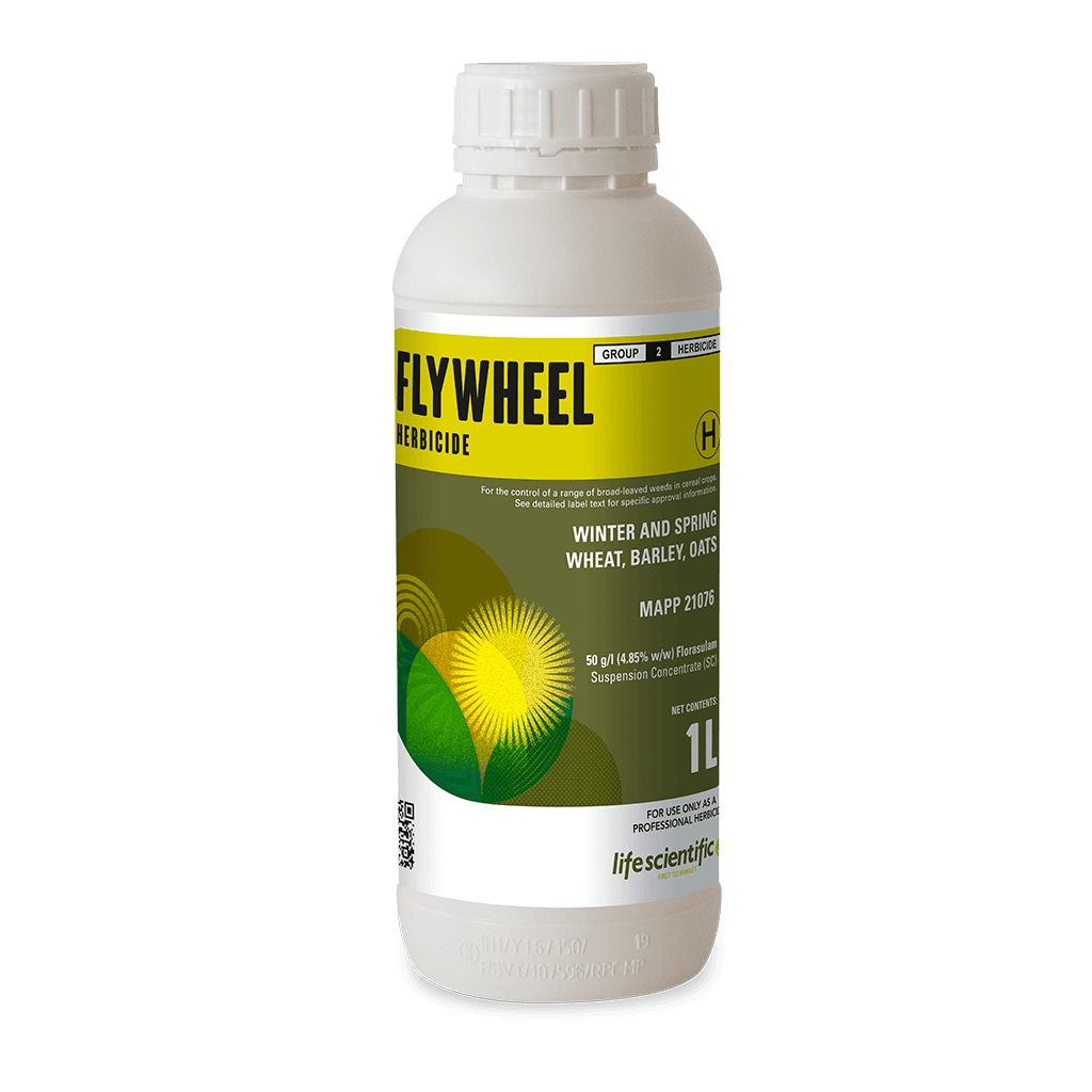 FLYWHEEL