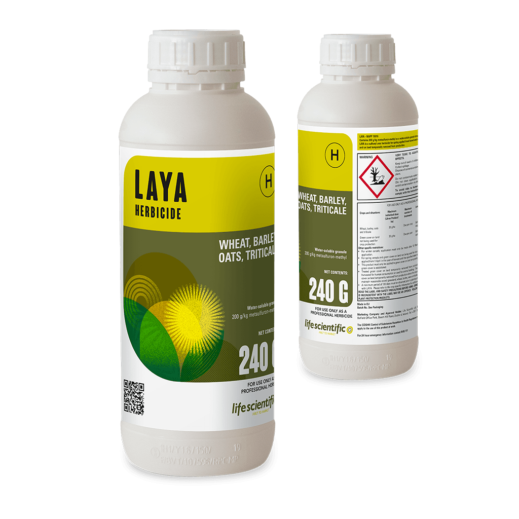 LAYA product image