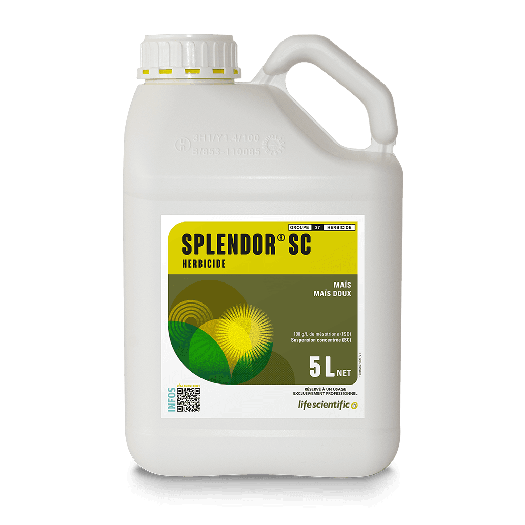 SPLENDOR SC product image
