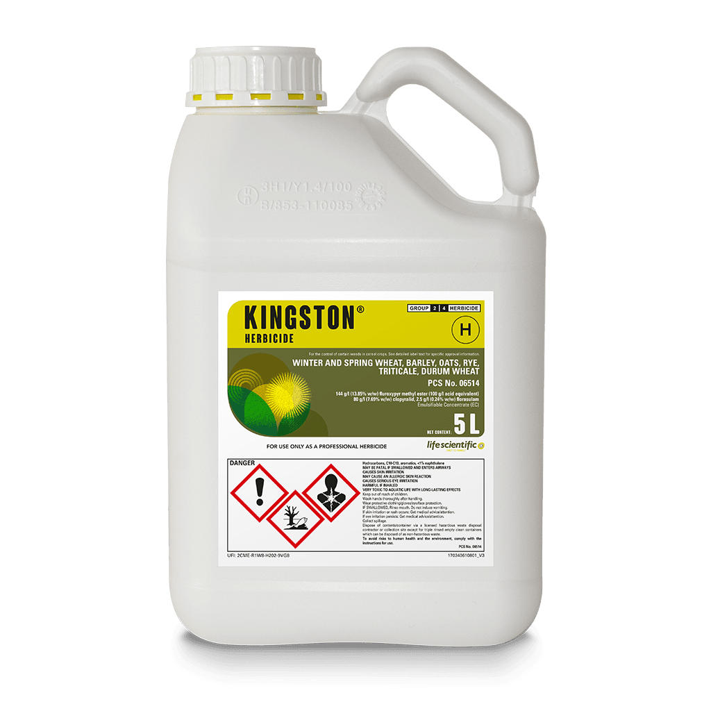 KINGSTON product image