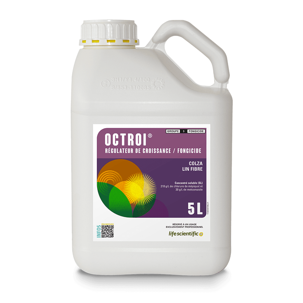 OCTROI product image