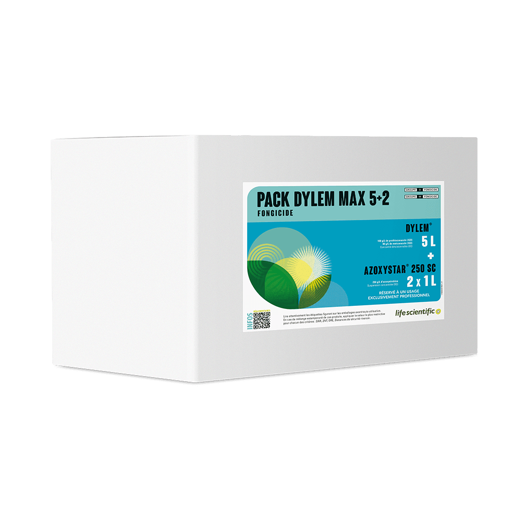Pack DYLEM MAX product image