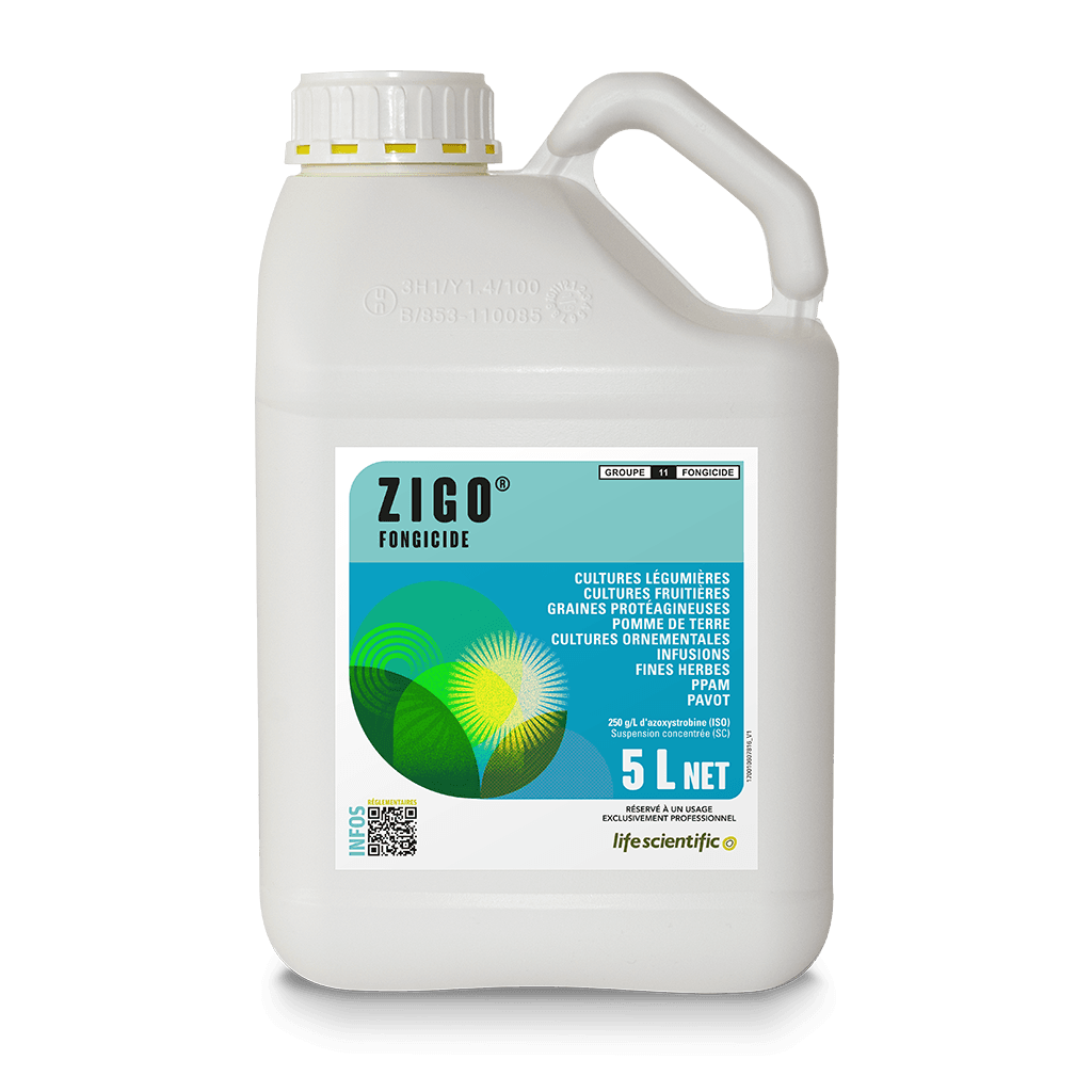 ZIGO product image